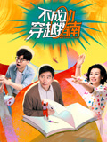 不成功穿越指南海报
